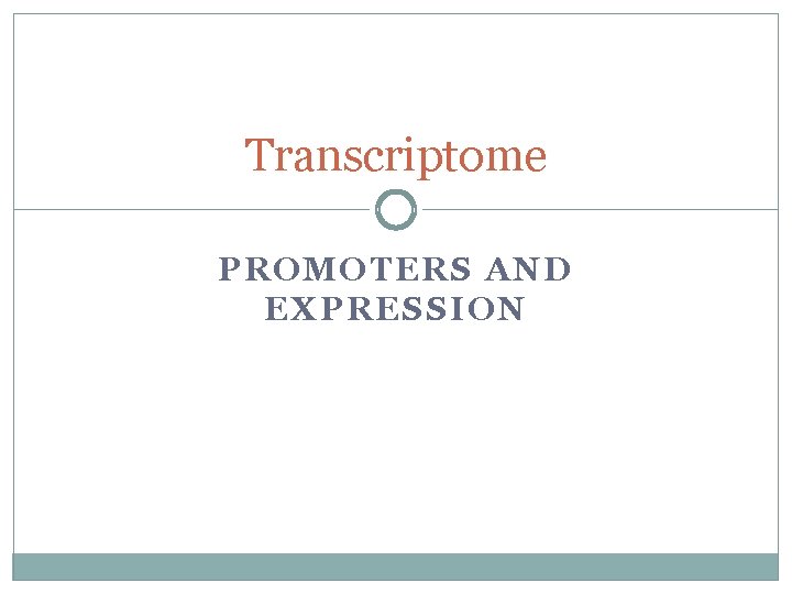 Transcriptome PROMOTERS AND EXPRESSION 