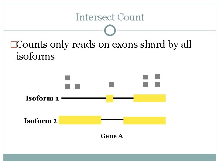 Intersect Count �Counts only reads on exons shard by all isoforms Isoform 1 Isoform