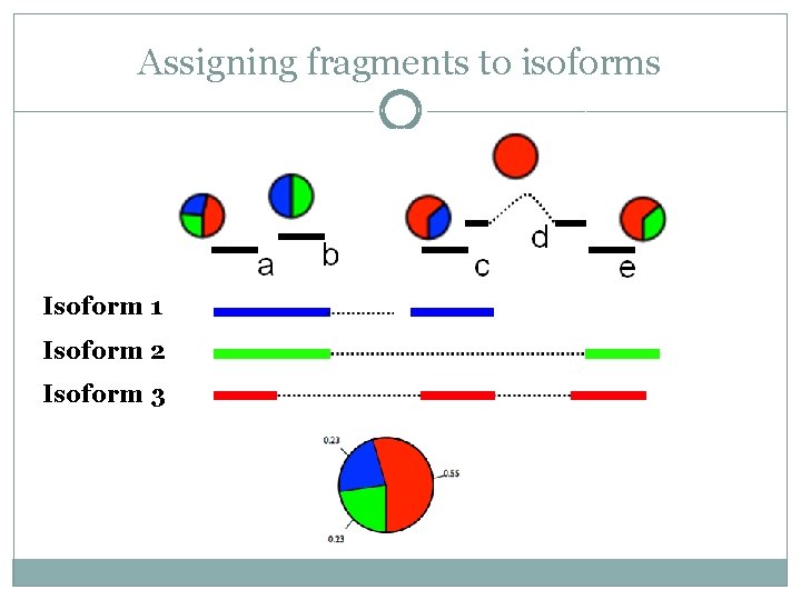Assigning fragments to isoforms Isoform 1 Isoform 2 Isoform 3 