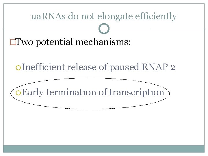 ua. RNAs do not elongate efficiently �Two potential mechanisms: Inefficient release of paused RNAP