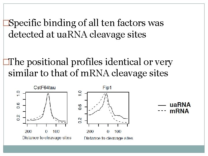 �Specific binding of all ten factors was detected at ua. RNA cleavage sites �The