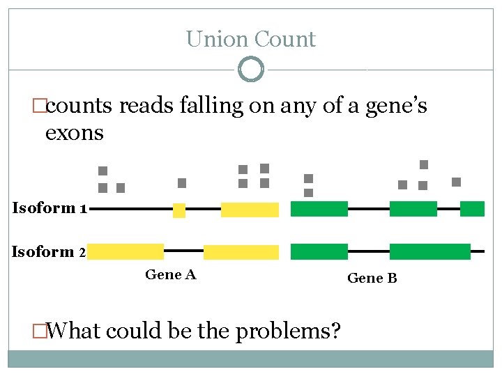 Union Count �counts reads falling on any of a gene’s exons Isoform 1 Isoform