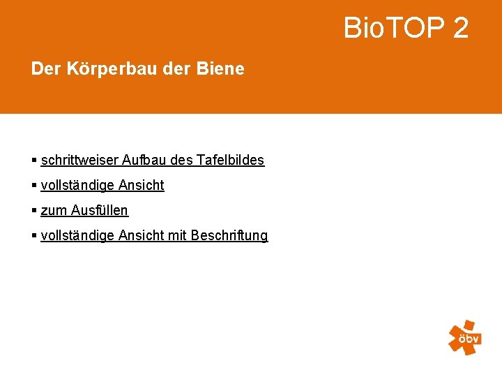 Bio. TOP 2 Der Körperbau der Biene § schrittweiser Aufbau des Tafelbildes § vollständige