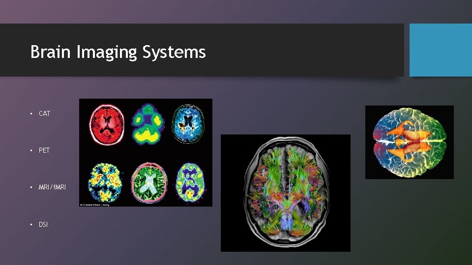 Brain Imaging Systems • CAT • PET • MRI/f. MRI • DSI 
