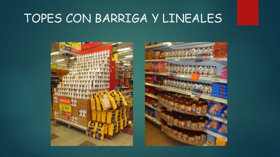 TOPES CON BARRIGA Y LINEALES 