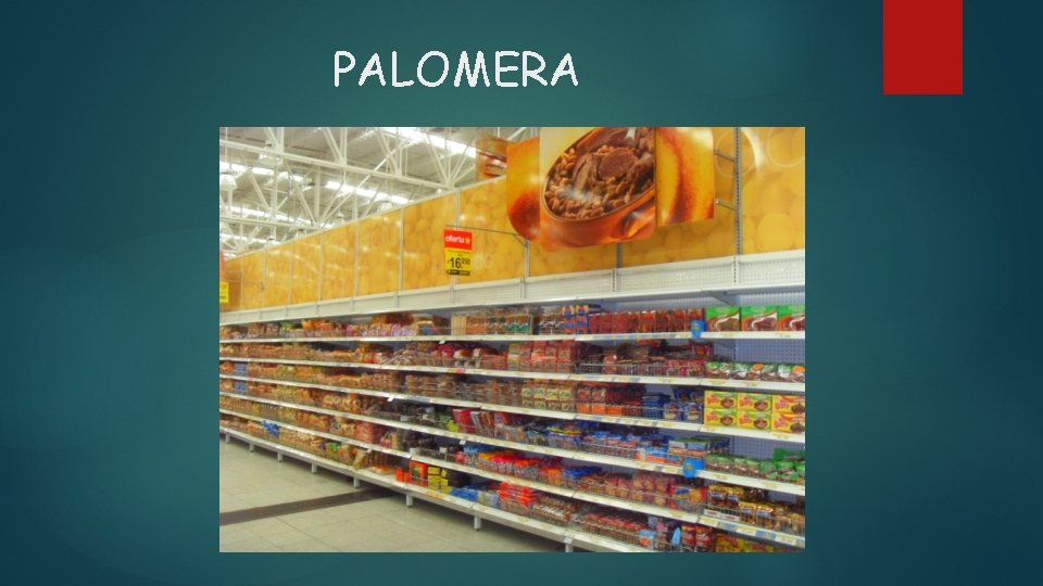 PALOMERA 