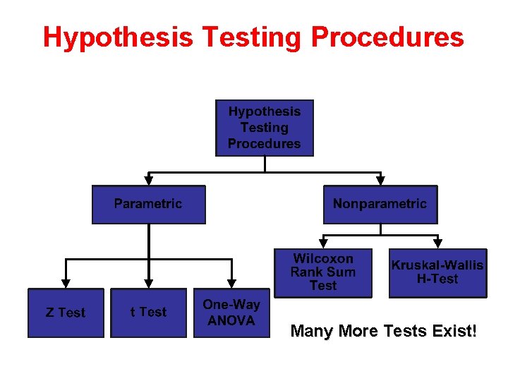 Hypothesis Testing Procedures Many More Tests Exist! 