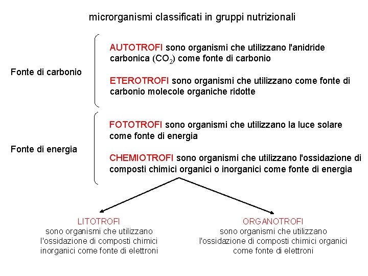 microrganismi classificati in gruppi nutrizionali AUTOTROFI sono organismi che utilizzano l'anidride carbonica (CO 2)