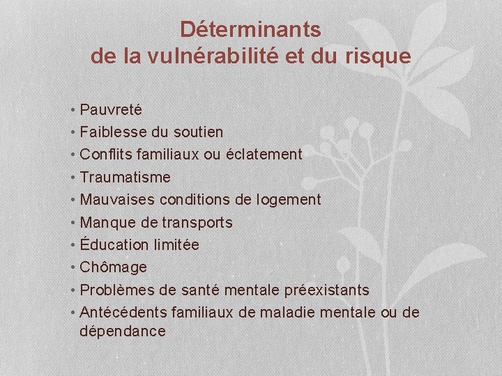 Déterminants de la vulnérabilité et du risque • Pauvreté • Faiblesse du soutien •