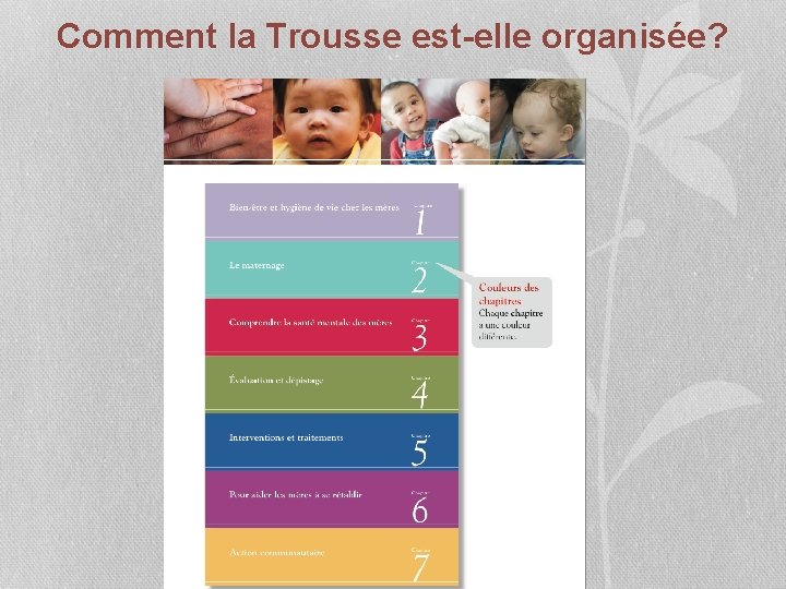 Comment la Trousse est-elle organisée? 