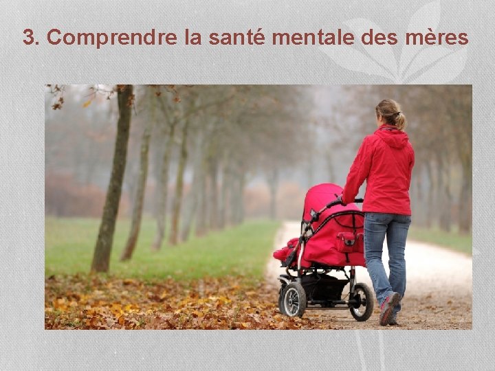 3. Comprendre la santé mentale des mères 