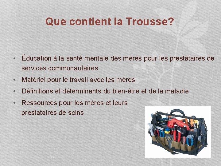 Que contient la Trousse? • Éducation à la santé mentale des mères pour les