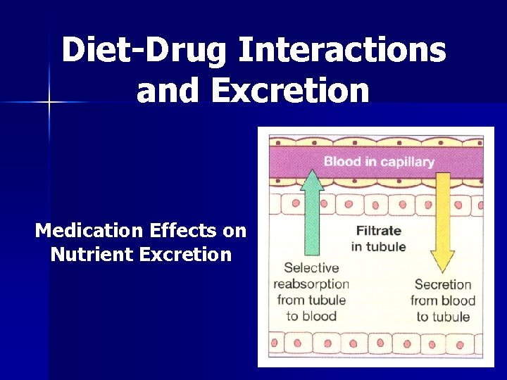 Diet-Drug Interactions and Excretion Medication Effects on Nutrient Excretion 