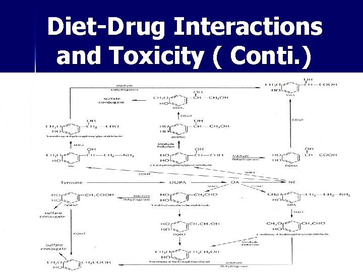 Diet-Drug Interactions and Toxicity ( Conti. ) 
