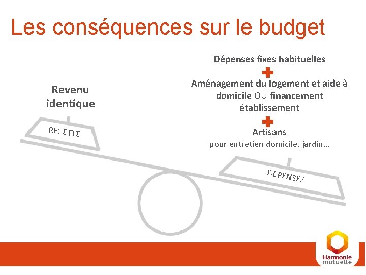 Les conséquences sur le budget Dépenses fixes habituelles Revenu identique RECETTE Aménagement du logement Les conséquences sur le budget Dépenses fixes habituelles Revenu identique RECETTE Aménagement du logement