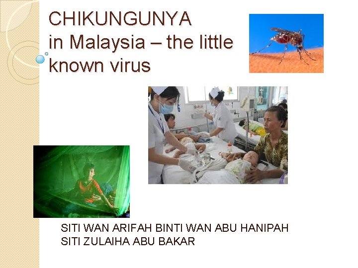 CHIKUNGUNYA in Malaysia – the little known virus SITI WAN ARIFAH BINTI WAN ABU