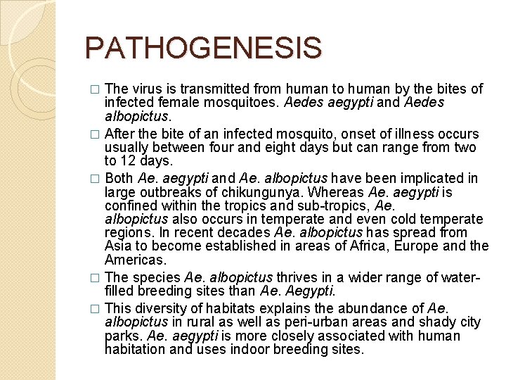 PATHOGENESIS The virus is transmitted from human to human by the bites of infected