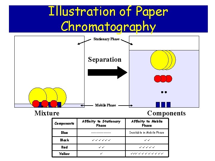 Illustration of Paper Chromatography Stationary Phase Separation Mobile Phase Mixture Components Affinity to Stationary