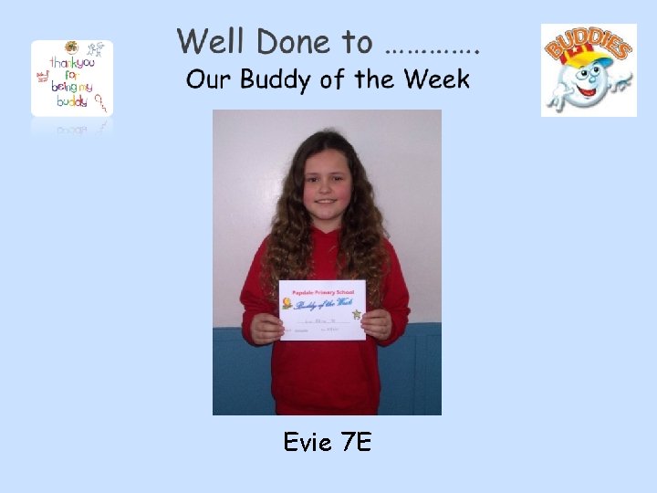 Evie 7 E 