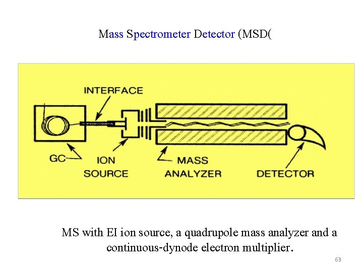 Mass Spectrometer Detector (MSD( MS with EI ion source, a quadrupole mass analyzer and