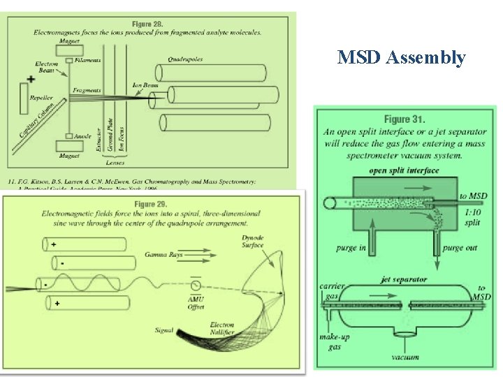 MSD Assembly 64 