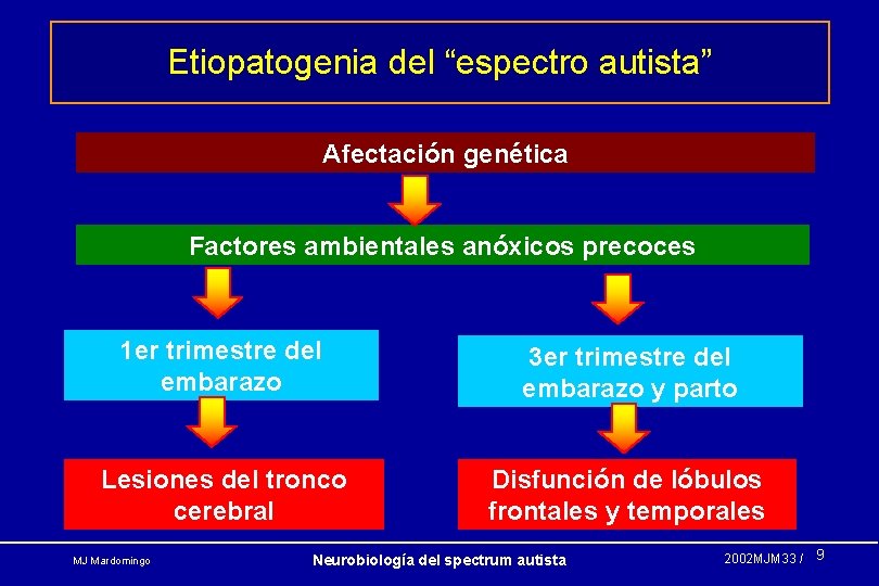 Etiopatogenia del “espectro autista” Afectación genética Factores ambientales anóxicos precoces 1 er trimestre del