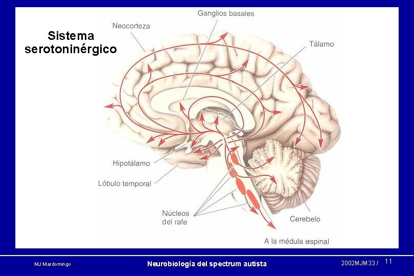 Sistema serotoninérgico MJ Mardomingo Neurobiología del spectrum autista 2002 MJM 33 / 11 