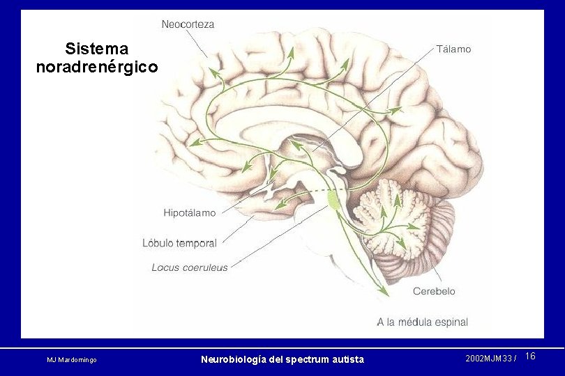 Sistema noradrenérgico MJ Mardomingo Neurobiología del spectrum autista 2002 MJM 33 / 16 