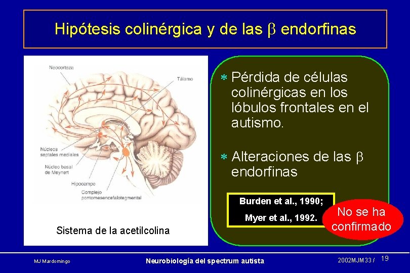 Hipótesis colinérgica y de las endorfinas * Pérdida de células colinérgicas en los lóbulos