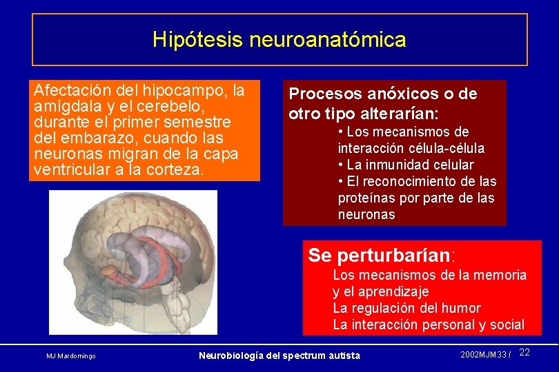 Hipótesis neuroanatómica Afectación del hipocampo, la amígdala y el cerebelo, durante el primer semestre