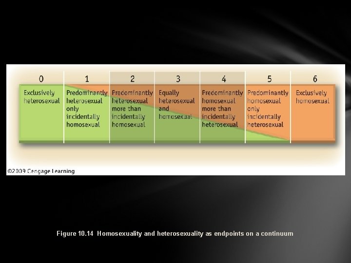 Figure 10. 14 Homosexuality and heterosexuality as endpoints on a continuum 