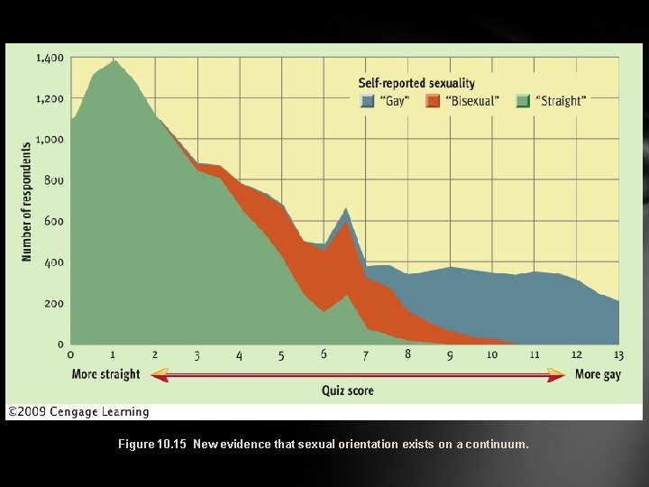 Figure 10. 15 New evidence that sexual orientation exists on a continuum. 