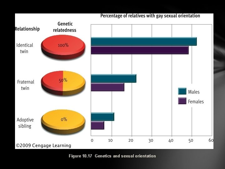 Figure 10. 17 Genetics and sexual orientation 