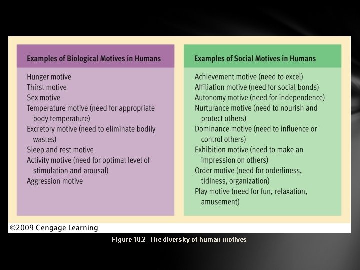 Figure 10. 2 The diversity of human motives 