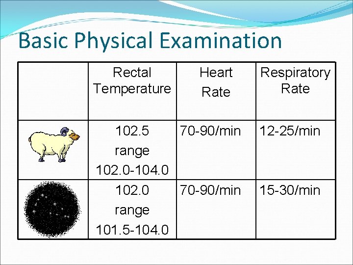 Basic Physical Examination Rectal Temperature Heart Rate 102. 5 70 -90/min range 102. 0