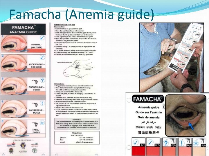 Famacha (Anemia guide) 