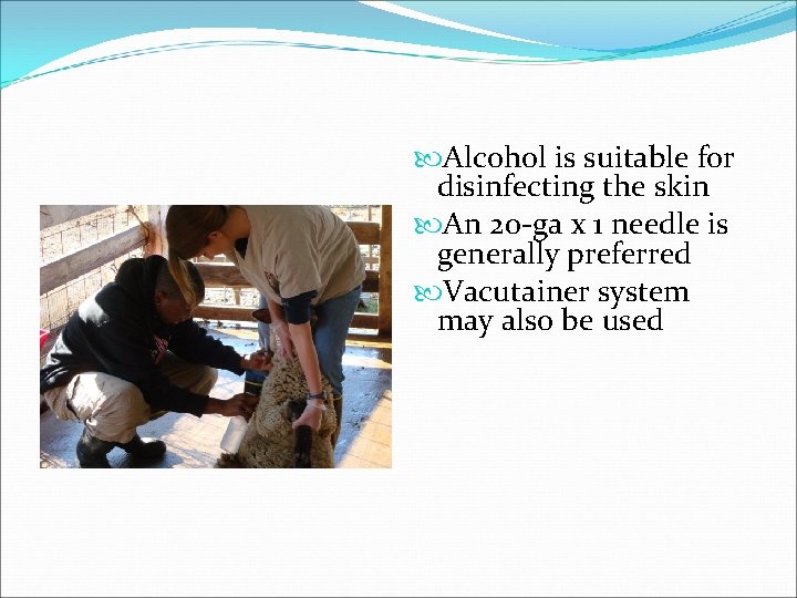  Alcohol is suitable for disinfecting the skin An 20 -ga x 1 needle