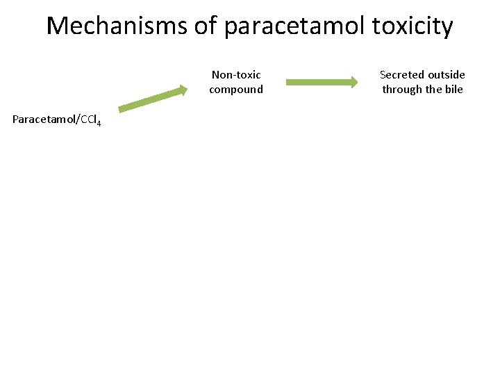 Mechanisms of paracetamol toxicity Non-toxic compound Paracetamol/CCl 4 Secreted outside through the bile 