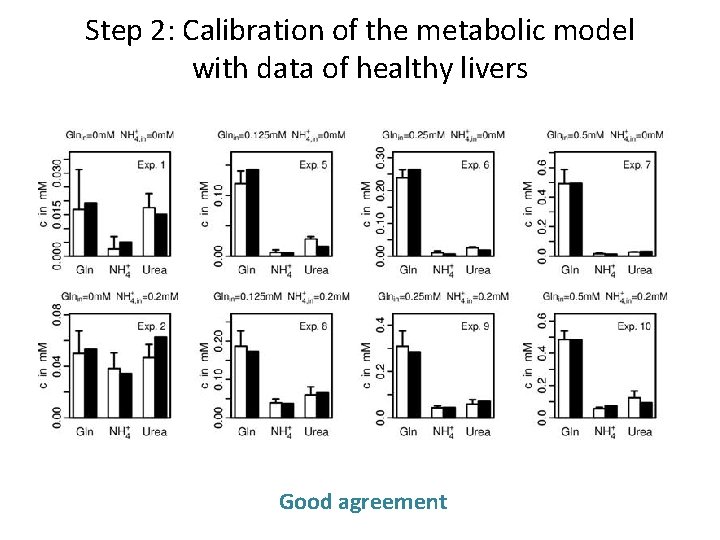 Step 2: Calibration of the metabolic model with data of healthy livers Good agreement