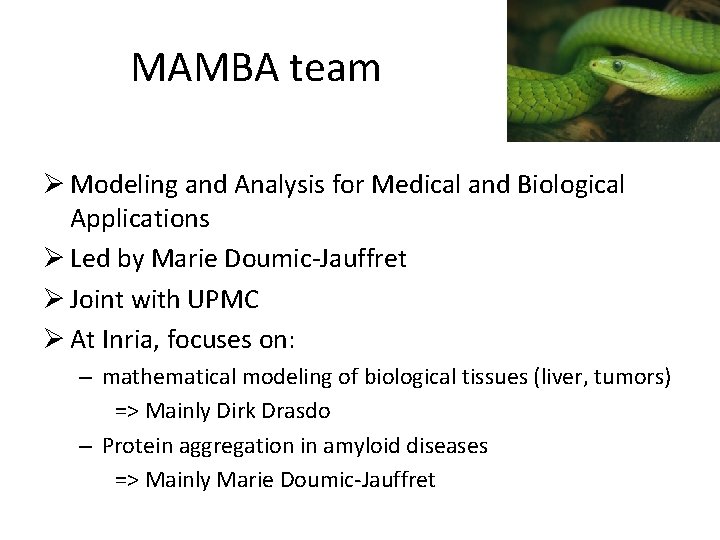 MAMBA team Ø Modeling and Analysis for Medical and Biological Applications Ø Led by