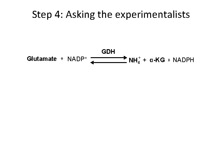 Step 4: Asking the experimentalists Glutamate + NADP+ GDH + NH 4 + α-KG