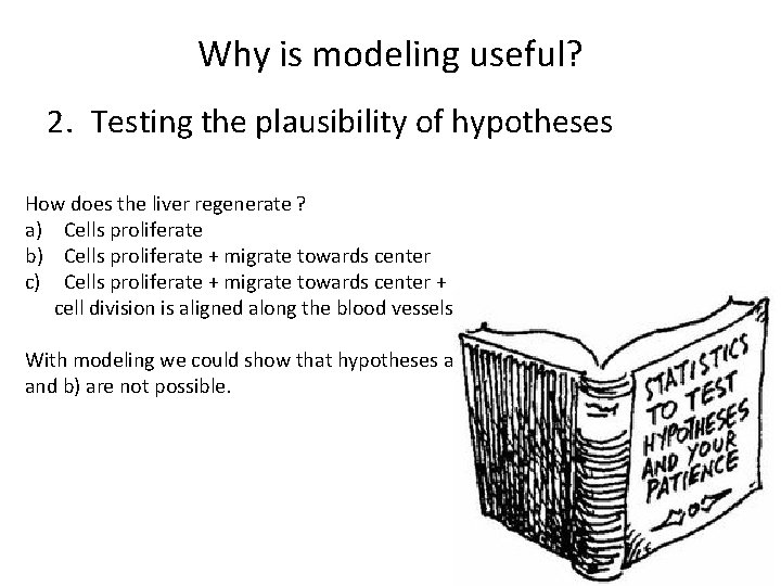 Why is modeling useful? 2. Testing the plausibility of hypotheses How does the liver