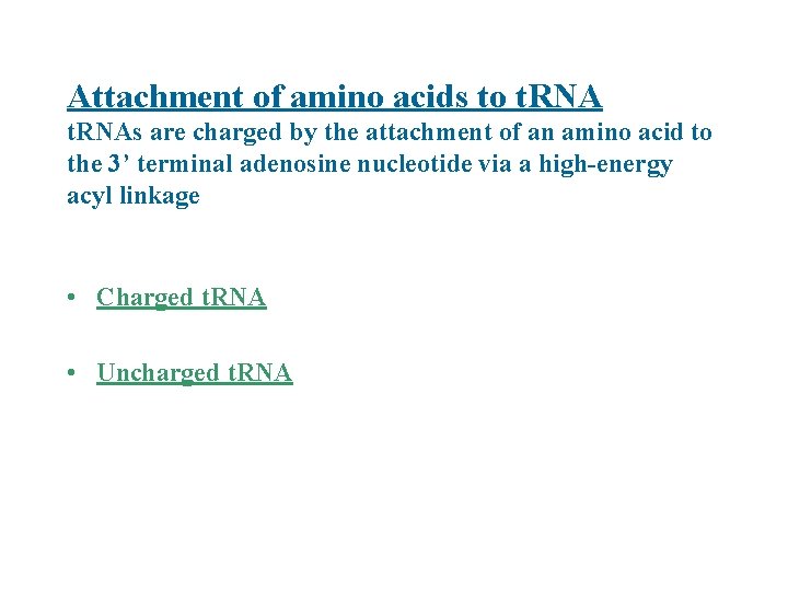 Attachment of amino acids to t. RNAs are charged by the attachment of an