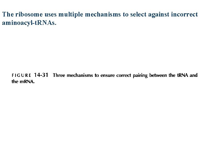 The ribosome uses multiple mechanisms to select against incorrect aminoacyl-t. RNAs. 