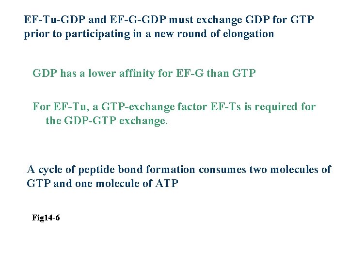 EF-Tu-GDP and EF-G-GDP must exchange GDP for GTP prior to participating in a new