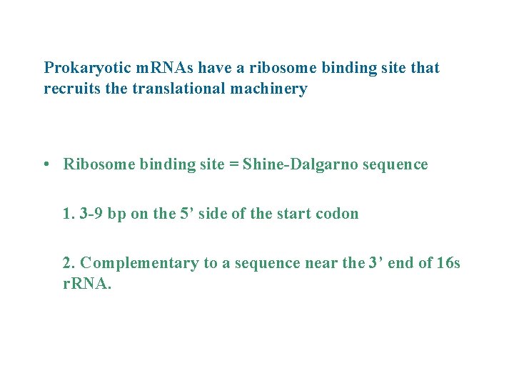 Prokaryotic m. RNAs have a ribosome binding site that recruits the translational machinery •