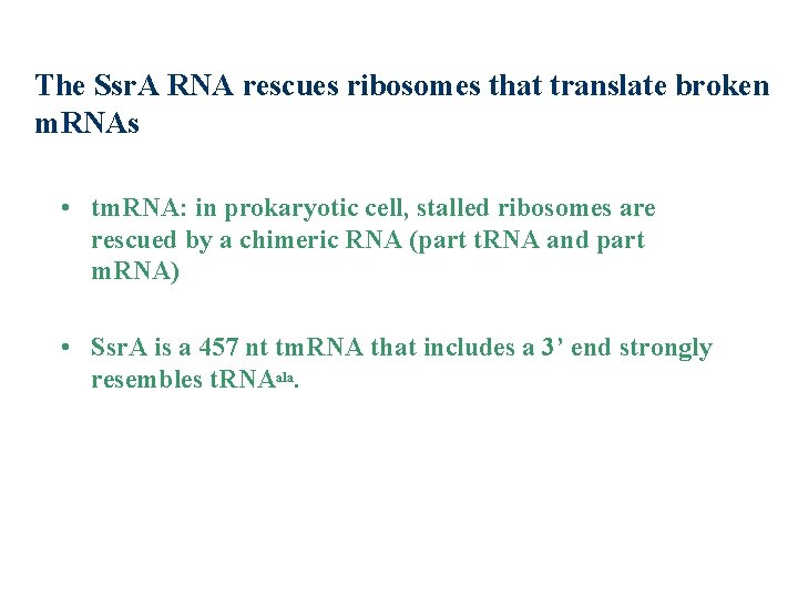 The Ssr. A RNA rescues ribosomes that translate broken m. RNAs • tm. RNA: