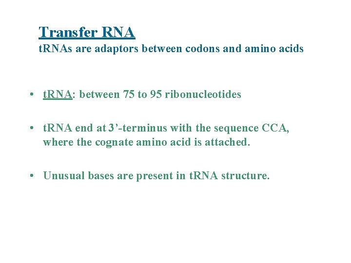 Transfer RNA t. RNAs are adaptors between codons and amino acids • t. RNA: