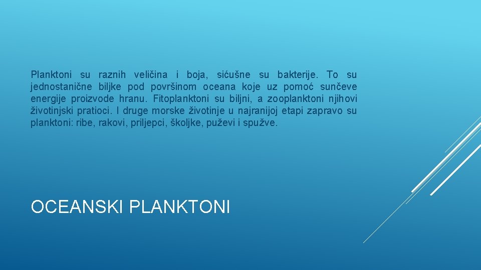 Planktoni su raznih veličina i boja, sićušne su bakterije. To su jednostanične biljke pod