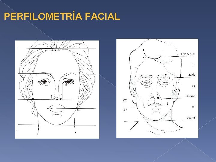 PERFILOMETRÍA FACIAL PERFILOMETRÍA FACIAL